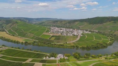 Trittenheim, Mosel Nehri 'nin döngü halinde Moselle Vadisi, hava manzaralı, sarmaşıkta yetişen şarap, üzüm bağı manzarası ve Almanya' da tarım.