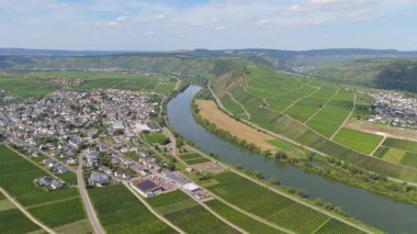 Trittenheim, Mosel Nehri 'nin döngü halinde Moselle Vadisi, hava manzaralı, sarmaşıkta yetişen şarap, üzüm bağı manzarası ve Almanya' da tarım.