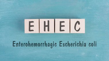 EHEC, enterokanamalı Escherichia coli, shigatoxigenic ve verotoxigenic, kanlı ishal, bakteriyel hastalık, gıda hastalığı, bağırsak enfeksiyonu 