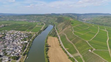 Leiwen, Mosel nehri döngüsüne sahip Moselle Vadisi, hava manzarası, sarmaşıkta yetişen şarap, üzüm bağı manzarası ve Almanya 'da tarım.