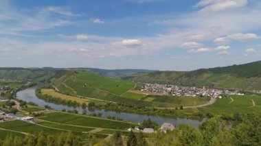 Trittenheim, Mosel Nehri 'nin döngü halinde Moselle Vadisi, hava manzaralı, sarmaşıkta yetişen şarap, üzüm bağı manzarası ve Almanya' da tarım.