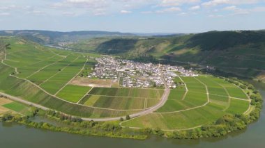 Trittenheim, Mosel Nehri 'nin döngü halinde Moselle Vadisi, hava manzaralı, sarmaşıkta yetişen şarap, üzüm bağı manzarası ve Almanya' da tarım.