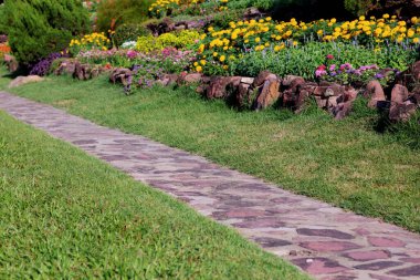 Bahçedeki çimlerin yolu güneş ışığıyla.