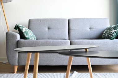 Modern İskandinav oturma odası açık gri kanepe, ahşap sehpa ve parlak doğal gün ışığında minimalist dekor.