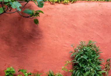 Tabanında yeşil bitkiler büyüyen desenli terracotta duvarı.