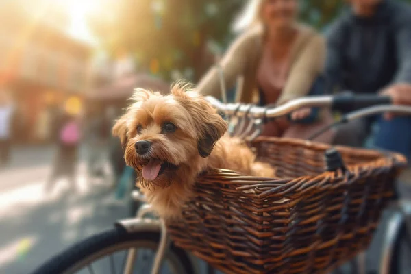 A small dog enjoying a ride through a busy city park on a bike basket
