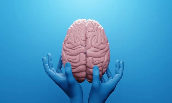 Cerebro Representación Ilustración Salud Humana Heal3D Cerebro Representación Ilustración Salud — Foto de Stock