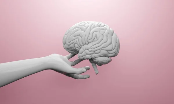 Мозок Ілюстрації Охорони Здоров Людини Зцілення Мозок Ілюстрації Охорони Здоров — стокове фото