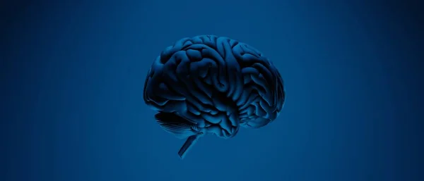 Neurologia Mózgu Robota Dla Sieci Zaawansowanych Technologii Przetwarzanie Komputerów Kwantowych — Zdjęcie stockowe