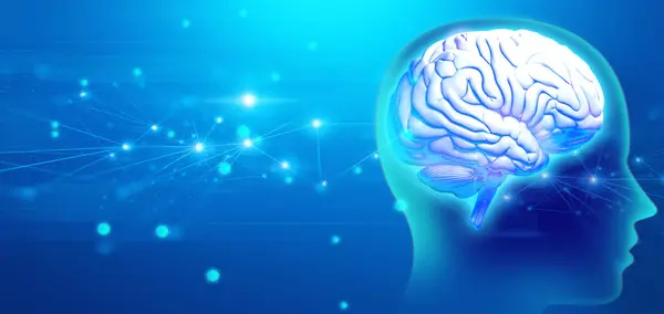 Мозок Ілюстрації Охорони Здоров Людини Нейронні Клітинні Науки Подумайте Про Стокова Картинка
