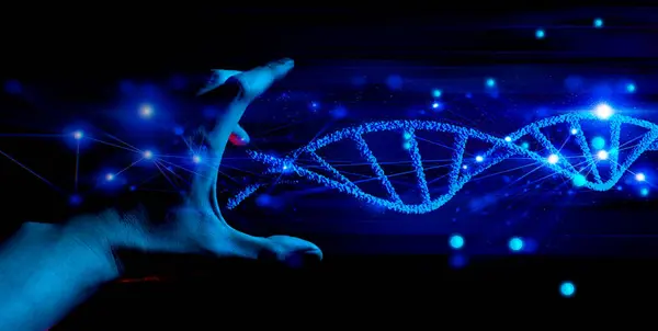 Wissenschaftler Oder Arzt Der Das Hologramm Der Dna Bluthelix Zelle lizenzfreie Stockfotos