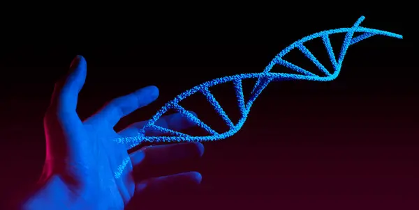 Scientist Doctor Touching Hold Hologram Dna Blood Helix Cell Medical ストックフォト