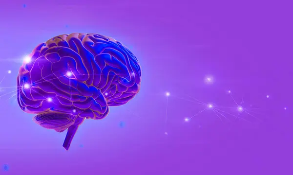 三维人脑保健图解绘制 神经细胞健康 背景思考 图库图片