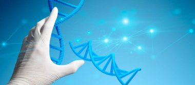 el doktoru ve hasta için ilaç, hastane için ilaç, tıbbi ve tedavi sigortası