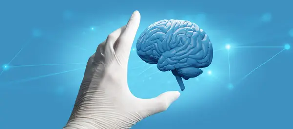 Arzt Hält Hand Oder Berührt Menschliches Gehirn Gesundheitswesen Krankenhauskonzept Neuronale Stockfoto