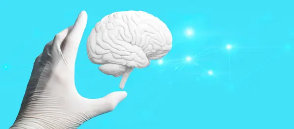 医生手牵手或触摸人脑在医疗保健医院的概念 神经科学的神经细胞 图库图片