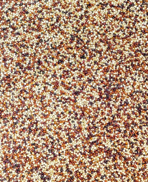 Főzetlen Quinoa Magja Egészséges Étel Ideális Koncepciók Hátterek Számára — Stock Fotó