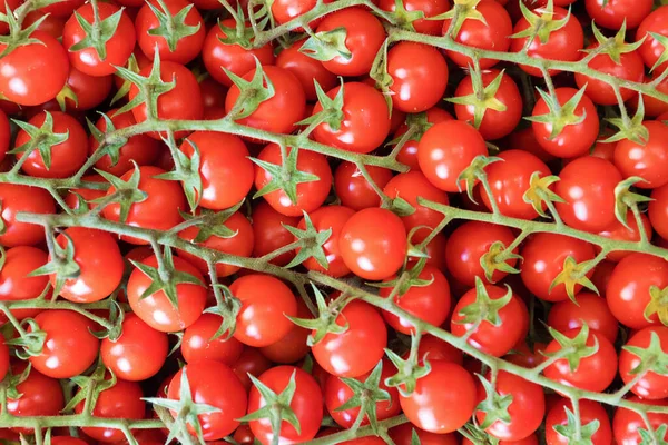 Fond Tomates Cerises Aliments Sains — Photo