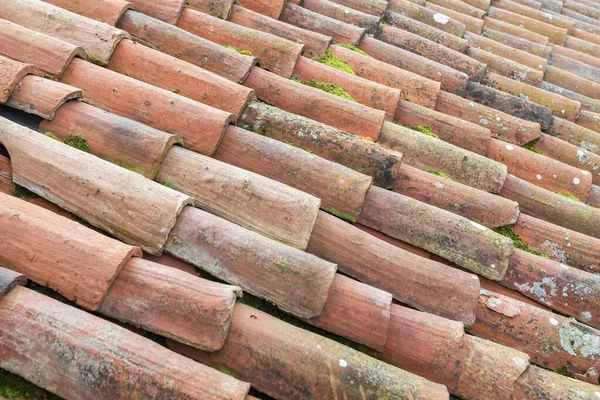 Altes Dach Soll Saniert Werden Grünes Moos — Stockfoto