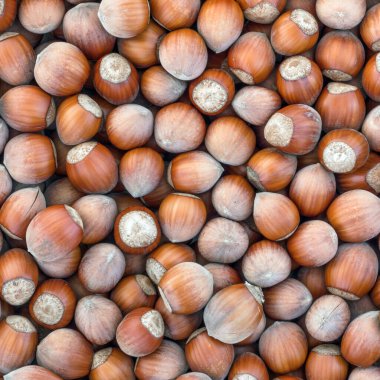 Fındık. Fındık yığınını. Gıda arka plan. Fındık arka plan.