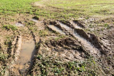 Sonbaharda tarlalar ve tarlalar arasında çamurlu, çimenli ve raylı bir yol.