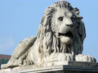 Budapeşte (Macaristan). Budapeşte 'deki Zincir Köprüsü aslanlarından biri.