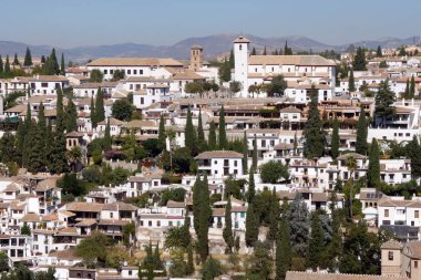 Gijon (İspanya). Gijon şehrindeki Formentin rıhtımının yanındaki elma şarabı ağacı.