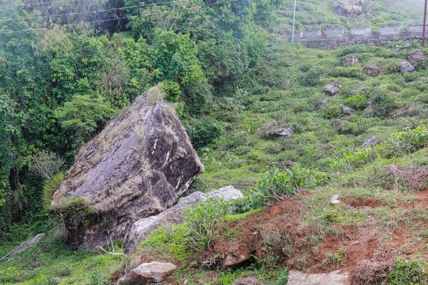 Darjeeling 'de Kurseong kırsalının manzarası