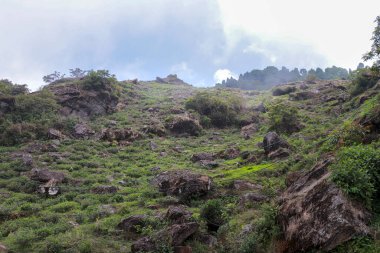 Darjeeling 'de Kurseong kırsal alanı, Hindistan' da Batı Bengal.