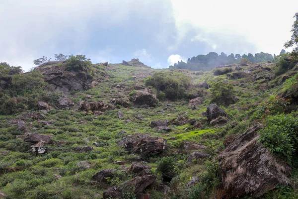 Paesaggio Campagna Kurseong Darjeeling Bengala Occidentale India — Foto Stock