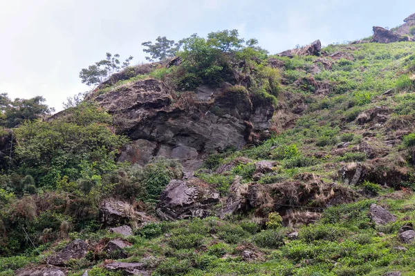 Деревенский Пейзаж Курсон Дарджилинге Западная Бенгалия Индии — стоковое фото