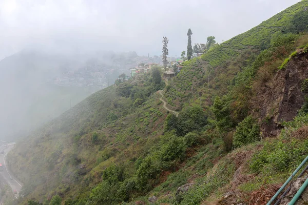 Landsbygdslandskap Kurseong Darjeeling Västbengalen Indien — Stockfoto