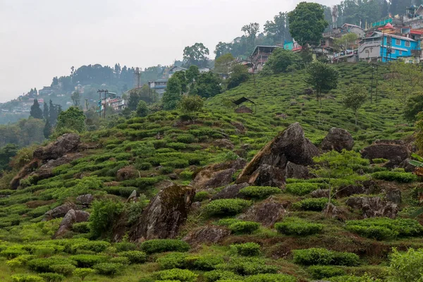 Paisaje Rural Kurseong Darjeeling — Foto de Stock