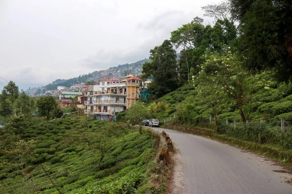 大吉岭库尔松的乡村风景 印度西孟加拉邦大吉岭库尔松市小城镇美丽的道路 — 图库照片