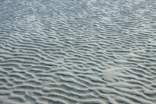 Deniz kumsalında ıslak kum