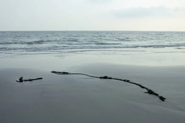 Bakkhali sahili manzarası