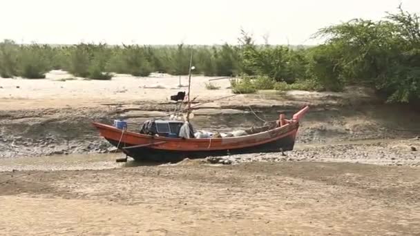 Barcos Pesca Están Atracados Arroyo Marea Baja — Vídeo de stock