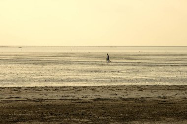 Sular çekildiği için sular çekiliyor ve yerel balıkçı bundan faydalanıyor. Bu durumda sıkışıp kalmış sığ su balıklarını yakalarlar.