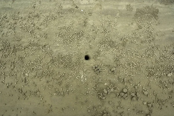 Kumsaldaki kumda yengeç delikleri