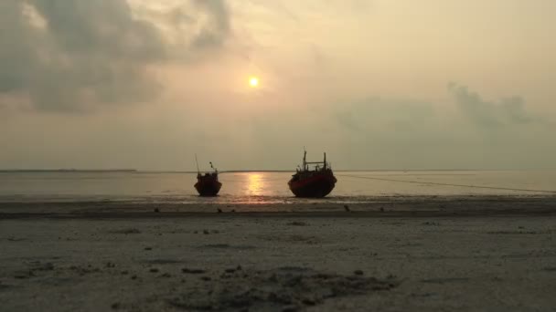 Krajina Bakkhali Mořského Pobřeží Kde Jsou Zakotveny Rybářské Lodě — Stock video