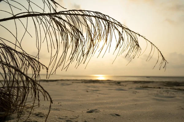 Altın saatinde Bakkhali 'nin güzel deniz manzarası