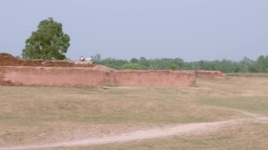 Gangarampur, Batı Bengal, Hindistan 'daki Bangarh kalesinin harabe yapısı..
