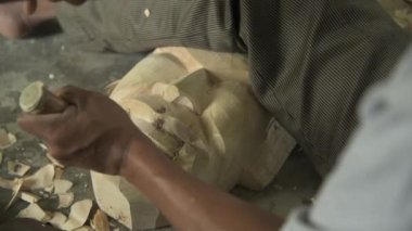 Nightingale kuşunun civcivine bakıyorum
