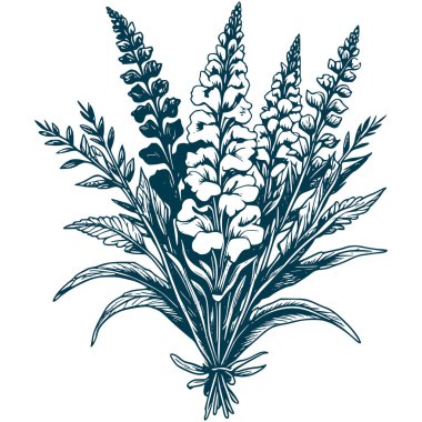 Estetik Güzel Aslanağzı Çiçek Buketi Görüntü Grafik Görünümü