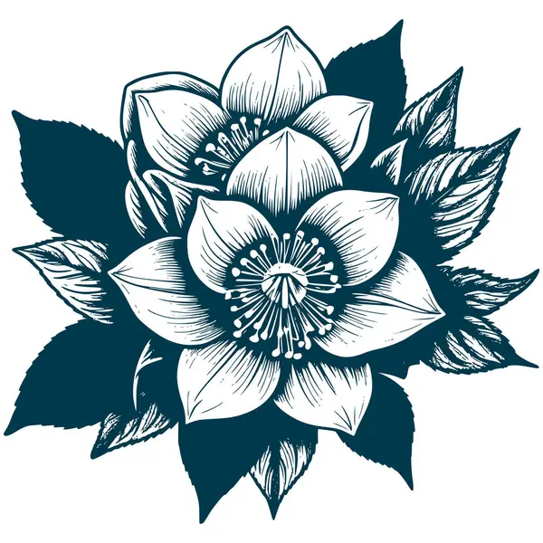 Estetik Güzel Hellebore Çiçek Buketi Görüntü Grafik Görünümü