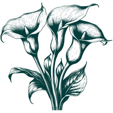 Estetik Güzel Botanik Çiçeği ve Grafik Siluet Çizimi Yapıyor