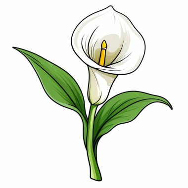 illustration vectorielle de fleur blanche