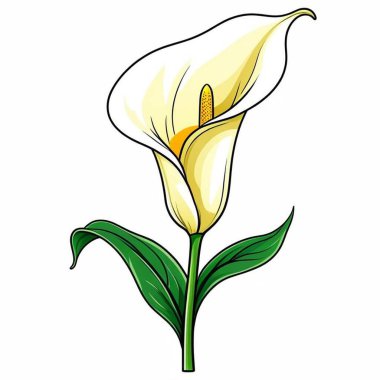 Güzel bir çiçeğin vektör çizimi