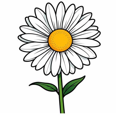 beyaz arkaplanda karalama çiçeği izole