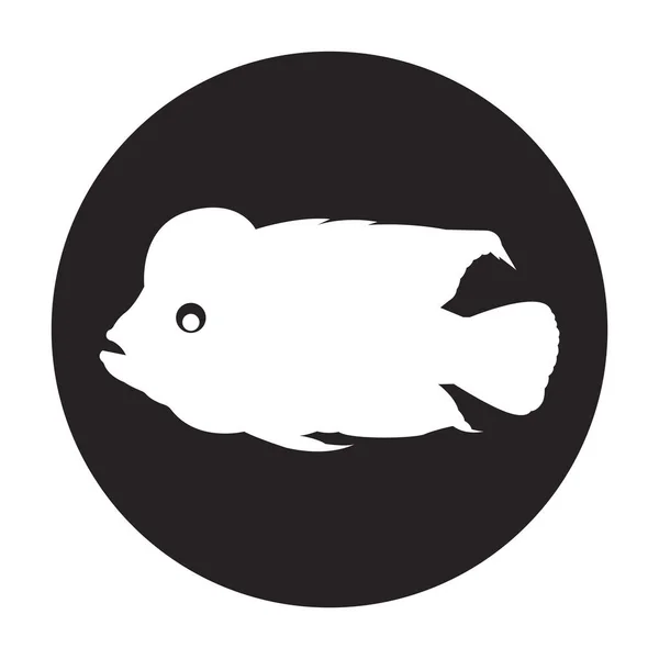 Louhan鱼图标矢量图解符号设计 — 图库矢量图片